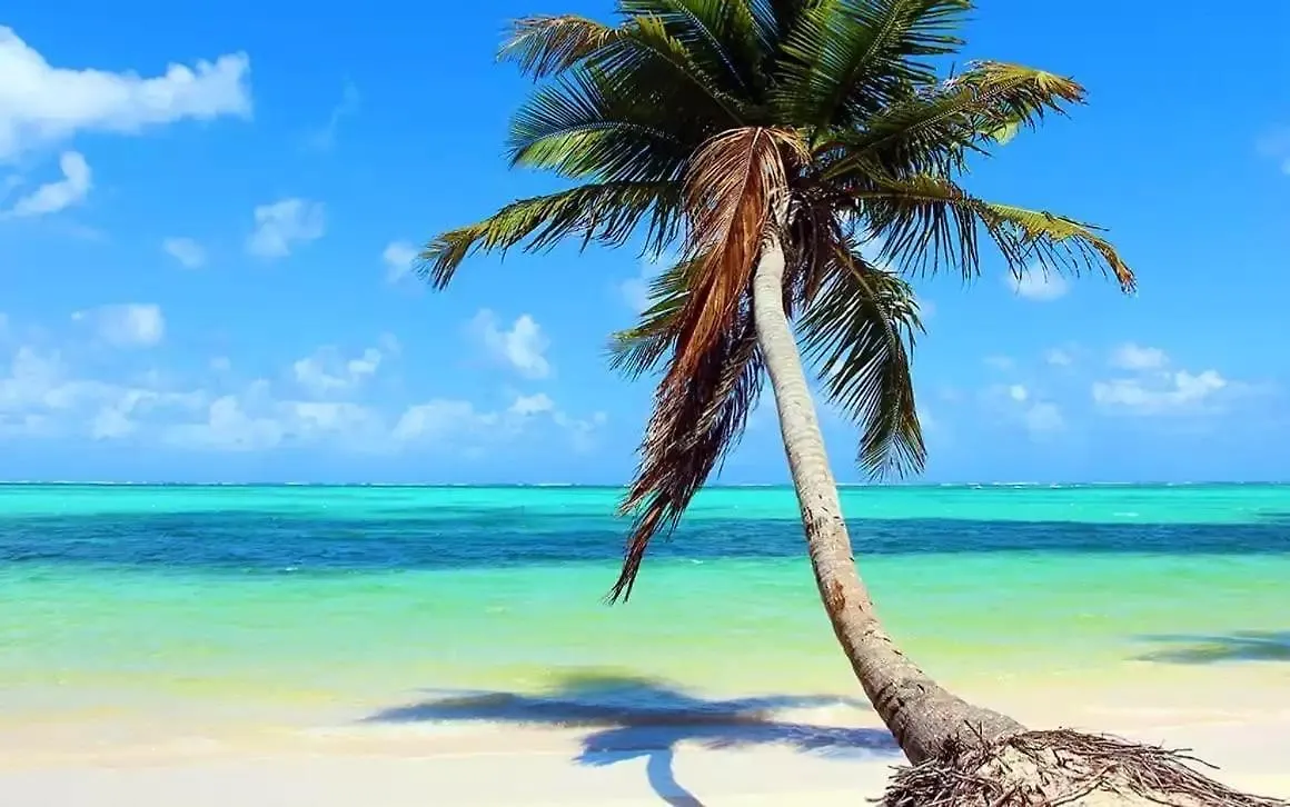 Villa Kambusa Las Galeras Dominikanska republiken