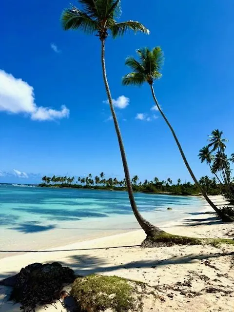 Lägenhet Villa Kambusa Las Galeras